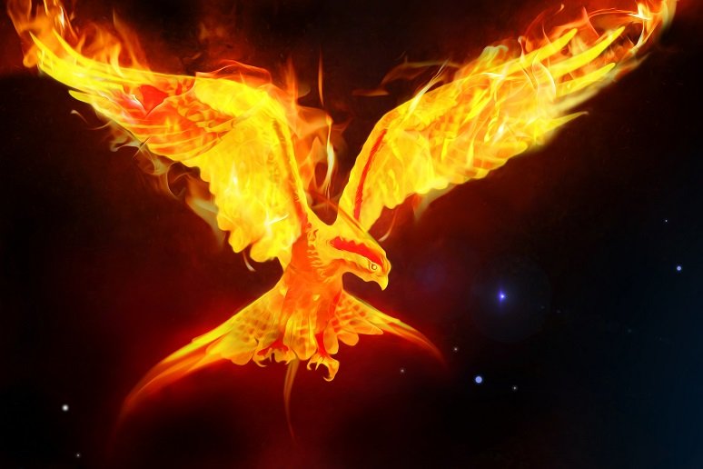 A Phoenix Rising from the Ashes.